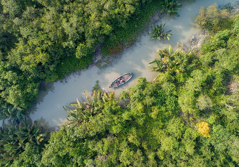 Sundarban - The Best Jungle Safari Ever